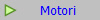 Motori