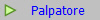 Palpatore